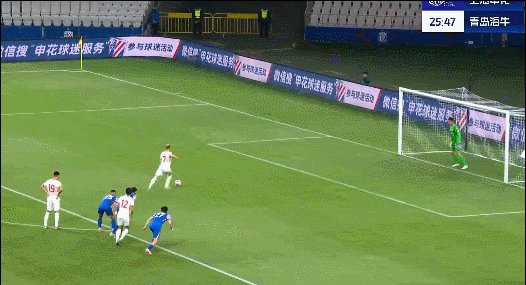 萨里奇.gif
